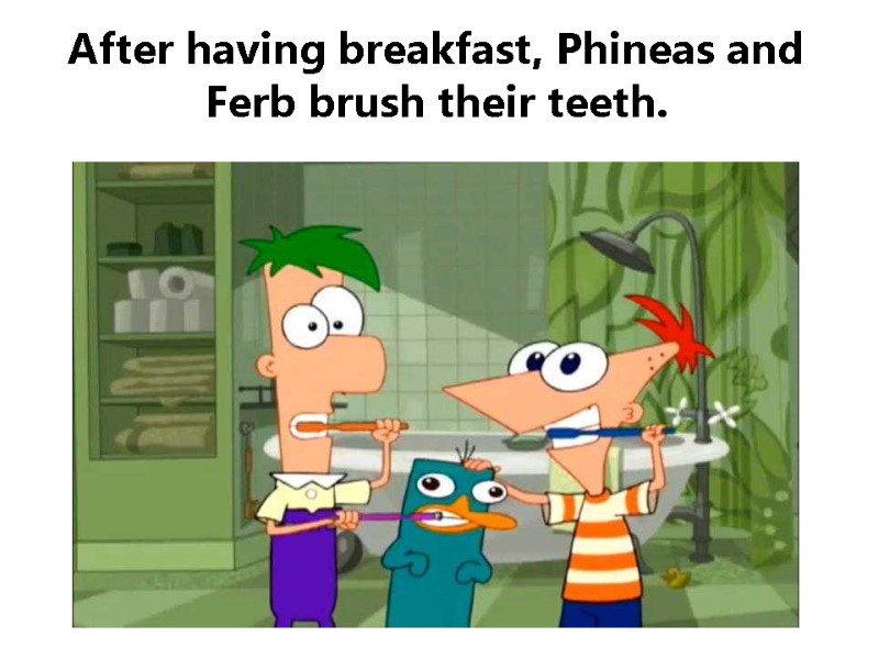 After having breakfast, Phineas and Ferb brush their teeth.